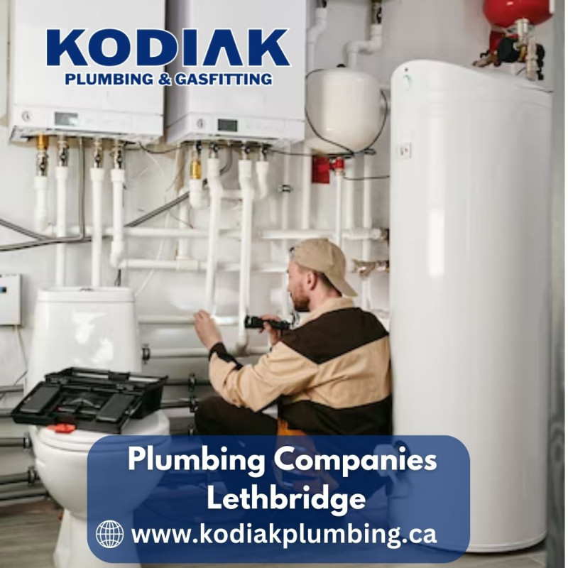 Why You Need a Good Emergency Plumber : kodiakplumbing — LiveJournal