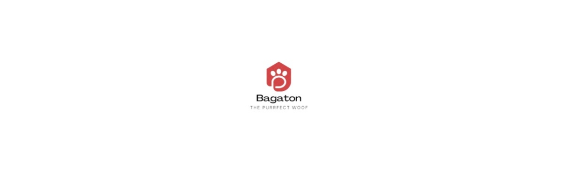 BagaTon Cover Image