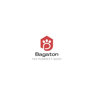 BagaTon Profile Picture