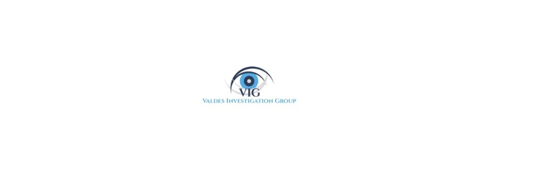 Valdes Investigation Group Cover Image