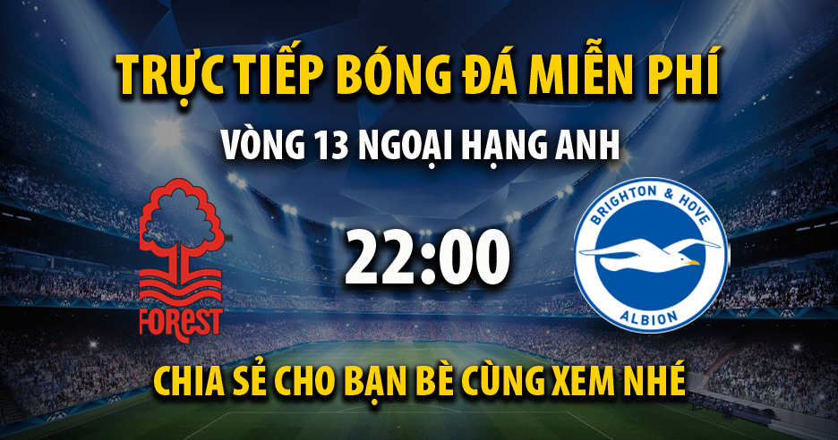 Link trực tiếp Nottingham Forest vs Brighton 22:00, ngày 25/11 - Xoilac365i.tv