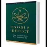 Exodus Effect Profile Picture