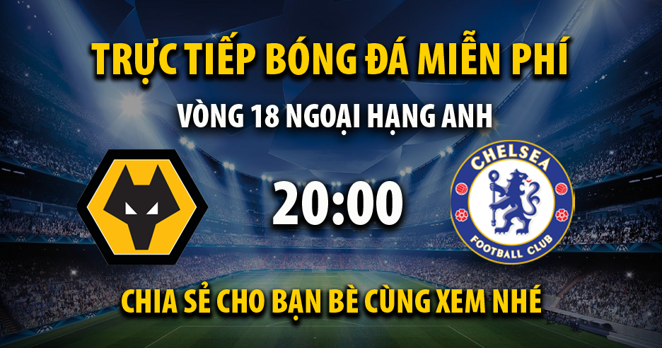 Link trực tiếp Wolves vs Chelsea 20:00, ngày 24/12 - Xoilac365z.net