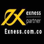 sanforexno1net Profile Picture