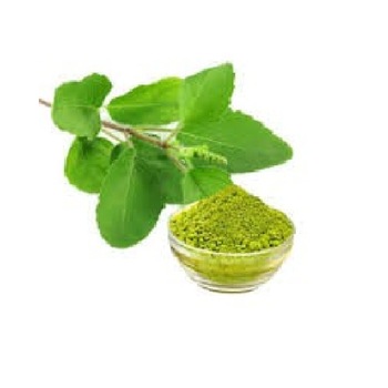 Organic tulsi powder online | Tulsi powder price per kg | Tulsi powder