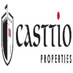 casttio Profile Picture