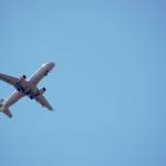 jetblue traveling with pets Profile Picture