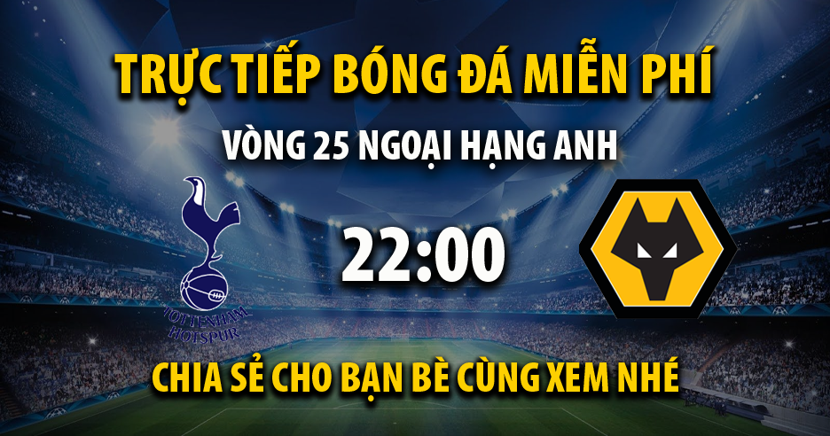 Link trực tiếp Tottenham vs Wolves 22:00, ngày 17/02 - Xoilac365s.net