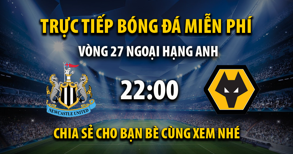 Link trực tiếp Newcastle United vs Wolves 22:00, ngày 02/03 - Texasrosefestival.com