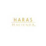 HARAS HACIENDA Profile Picture