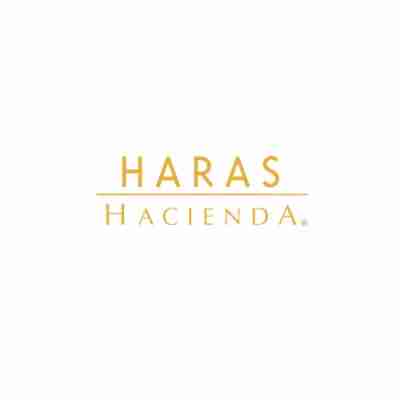 HARAS HACIENDA Profile Picture