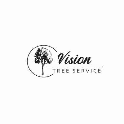 Vision Tree Service Profile Picture