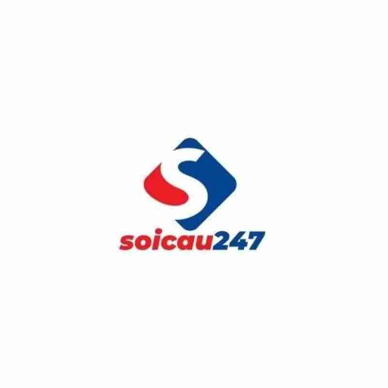 Soi cau 247 blog Profile Picture