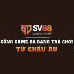 SV88 Show Profile Picture