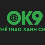 ok99 info Profile Picture