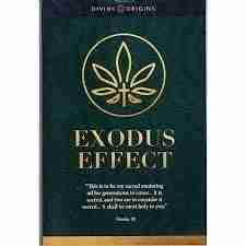 Exodus Effect Profile Picture