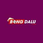 bongdalu9 live Profile Picture