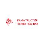 Đá Gà Trực Tiếp Thomo Hôm Nay profile picture