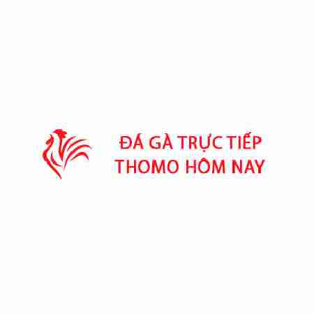 Đá Gà Trực Tiếp Thomo Hôm Nay Profile Picture