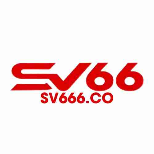 sv666 co Profile Picture