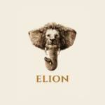 Elion Homes profile picture