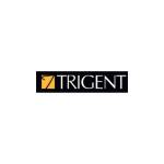 Trigent Software Profile Picture