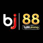 Bj88 immo Profile Picture