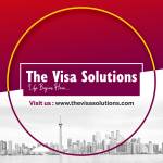 The Visa Solutions Profile Picture