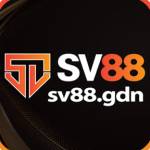SV88 Profile Picture
