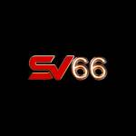 SV66 Profile Picture