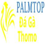 Đá Gà Trực Tiếp Thomo profile picture