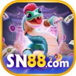 Sn88 biz Profile Picture