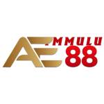 AE88 Profile Picture