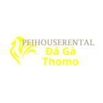 Đá Gà Trực Tiếp Thomo Profile Picture