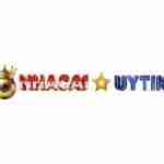 nhacaiuytin1org1 Profile Picture