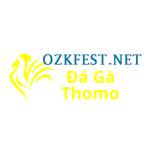 Đá Gà Trực Tiếp Thomo Profile Picture