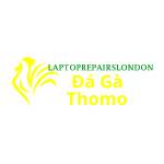 Đá Gà Trực Tiếp Thomo Profile Picture