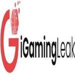 iGaming Leak Profile Picture