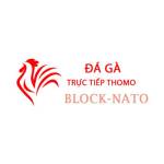 Đá Gà Trực Tiếp Thomo Profile Picture