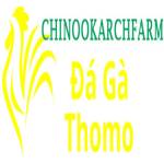 Đá Gà Trực Tiếp Thomo Profile Picture