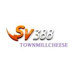 SV388 town Profile Picture