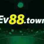 Ev88 town Profile Picture