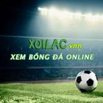 Lịch Thi Đấu Xoilacvnn TV Profile Picture