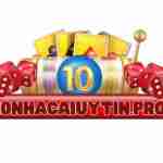 10nhacaiuytinpro Profile Picture