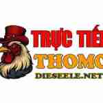 tructiepdagadie Profile Picture