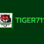 tiger711wiki Profile Picture