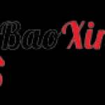 BAO XIN VIỆC Profile Picture