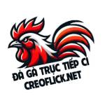 ĐÁ GÀ TRỰC TIẾP C1 Profile Picture
