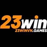 23winvngames Profile Picture