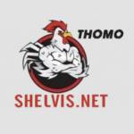 ĐÁ GÀ THOMO TRỰC TUYẾN Profile Picture
